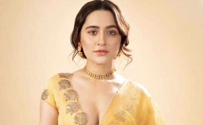 Aamir's Ex-Wife On Someone Touching Her Breast