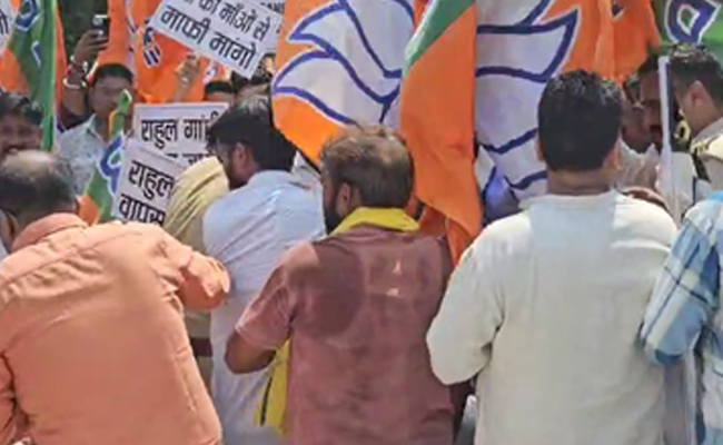 Rahul go back: BJP stages sit-in as Congress MP arrives in Rae Bareli