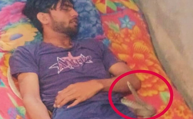 Woman Kills Husband With Lover, Stages Snakebite Drama