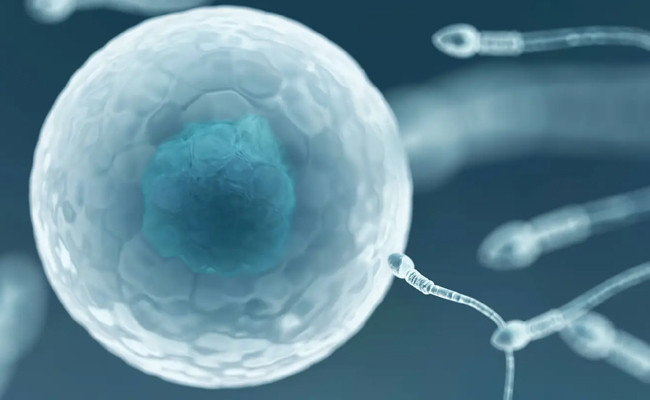 Sperm Clinics Using Beggars as Donors